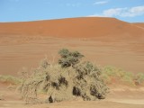Namibia Hochzeit, Reise, Bilder, Fotos - img_2313.jpg